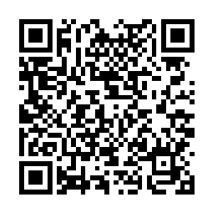 抱着浮子获救的希望要远大于放开它向船游的希望二维码生成