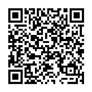 抱着珊瑚的我就跟着纱笼快步的朝着瑶姬在的房间走去二维码生成