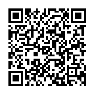 抱虎城和金光城每天24小时都有固定的飞艇航班往来二维码生成