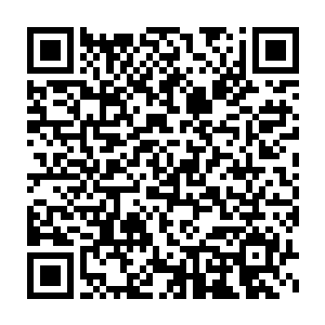 抵价的实物会由杜家拍卖行的高级鉴定师在短时间内估算一个价格二维码生成