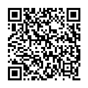 抽刀转身看向后面和侧面的那两条红褐色的虫子二维码生成