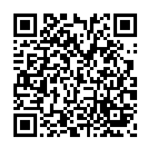 抽奖活动的一等实物奖品是苹果笔记本电脑一台二维码生成