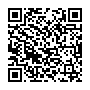 担任龙湾抗日游击大队副大队长的陈德大刚刚躺下二维码生成