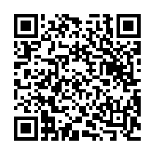 担心会不会因为太调皮而受她们家族长大人的皮肉之苦二维码生成