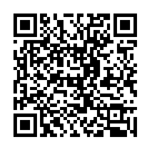 担心勾陈大帝等人陨落之后会成为那命运熔炉中的二维码生成