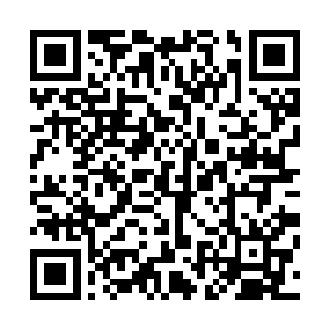 拆了领带的李旭东终于有点东张西望的不太适应这样的场地二维码生成