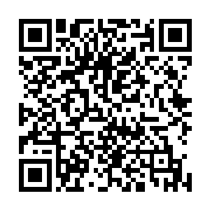 拉下他们走下神坛的恰恰是这个让他们看不起的凌天机甲团二维码生成