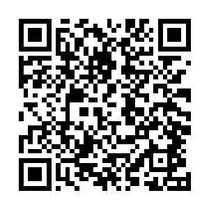 拉拉杜维和山蒙也迫不及待的进入了这种玄晶巨人武装之中二维码生成