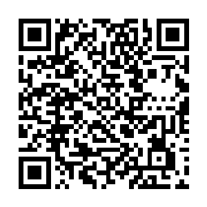 拉斐尔的说法让高扬他们这些老人立刻就想起了试管二维码生成