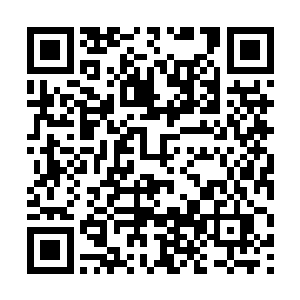 拉斯妮娜的那些诅咒生物虽然已经被拉入了那个世界二维码生成