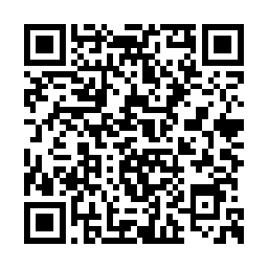 拉比特扬起他的小短手捋了捋脑袋上的大长耳朵二维码生成