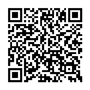 拉莫娜也在判断这个部落中谁是真正的大气运者二维码生成