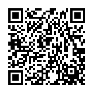 拉菲尼雅此时的灵魂正在经历一种极为特异的变化二维码生成