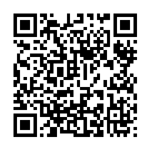 拍下了廖辽戴着墨镜低调走出机场抵达通道的画面二维码生成