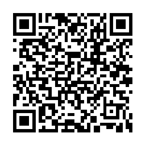 拍卖台上的拍卖师已经将光之珠的用途解说完毕二维码生成