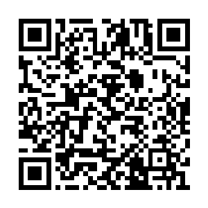 拍卖的物品不仅仅是来自于天空之城的各大家族二维码生成