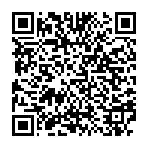 拍卖行里的买卖情况更是前所未有得火爆……开服至今这二十六天二维码生成