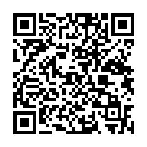 拍摄时李确实讲过人不同方式死亡时会发出的声音二维码生成