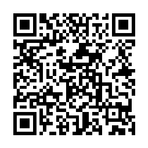 拍照狗仔这一年接下来的时间都可以在五星级酒店度假了二维码生成