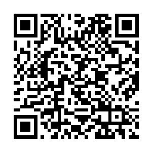 拎起自己偌大的拳头顿时就朝着苏凡一拳轰砸了过去二维码生成