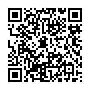 拒他的实力是这群人中仅有的数名主神后期境强者二维码生成