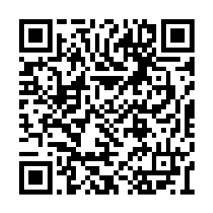 拓拔菩萨在跟徐凤年又一次对撞一拳各自后退后二维码生成