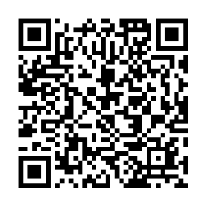 拓达集团的商品混凝土和减水剂制造这两个项目也就罢了二维码生成