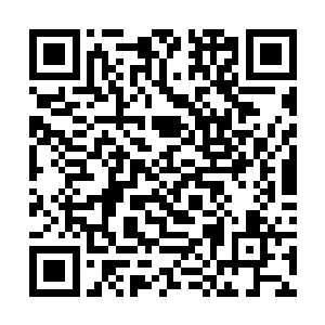 拖拉机连在布加迪威龙屁股后面吃灰的资格都没有啊二维码生成