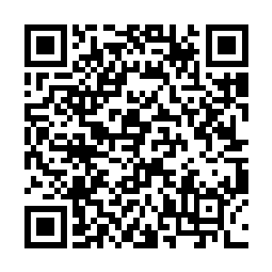 拖着疲累不堪的身体回到那不见天日的蜗居匆匆入睡二维码生成