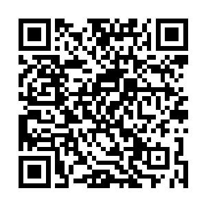 招呼几个纸人一点一点的拉开就知道里面是什么宝贝了吗二维码生成