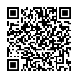 招呼着同样傻在原地的保安急急忙忙朝着他奔去二维码生成