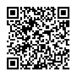 拜仁慕尼黑球迷们自然是最关心这件事情的的人二维码生成