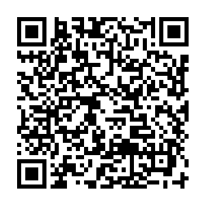 拜仁慕尼黑的主教练马加特还在为刚才的那次单刀球被主裁判吹停感到遗憾二维码生成