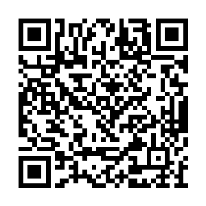 拜仁慕尼黑的球员们就对这样的未来感到兴奋了二维码生成