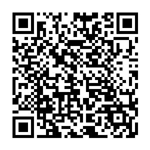 拜仁慕尼黑的球员们已经乘坐大巴车来到了勒沃库森的主场勒沃库森拜耳竞技场二维码生成