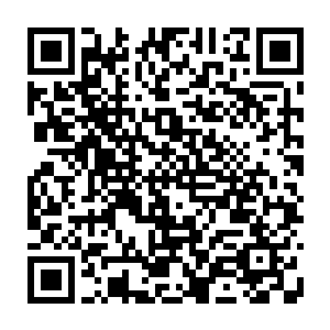 拜仁慕尼黑的球员和球迷之间的关系已经形成了一个良xng循环也许要不了多久二维码生成