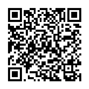 拜仁慕尼黑的球迷们也还在为主裁判的判罚感到不满二维码生成