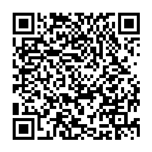 拜仁慕尼黑的球迷注定了将怀着非常复杂的心情等待着他们曾经英雄的回归二维码生成