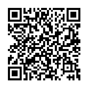 拜火圣地还有天玄圣地的人只怕都恨不得要我死二维码生成