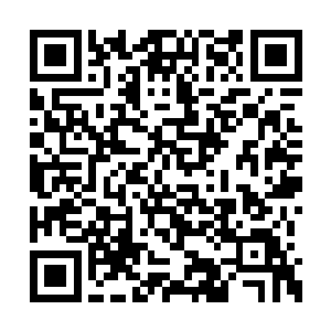 拥有一万条触手和一亿只类似眼睛的半透明器官二维码生成
