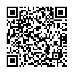 拥有一名十六星级的强者和两名十五星级的强者坐镇二维码生成