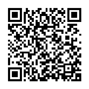 拥有一枚骨牌的瞿哲彦才以为有了可以和血冥平等对话的资格二维码生成