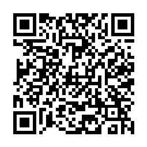 拥有一颗自然之心正是守护之神教派成员最显著的标志二维码生成