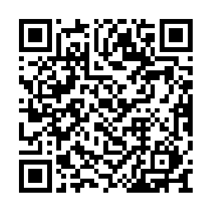 拥有了两人记忆和陈贞人格的――还是叫她珍妮二维码生成