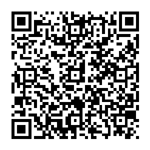 拥有了他们部分力量的我也要花费这么长的时间才能一点一点的破解这祖巫残骸中的禁制二维码生成