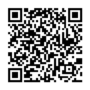 拥有十名武宗高手因为破坏规矩而一夜之间全部暴毙二维码生成