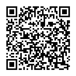 拥有大圣师实力的三名团长以及副团长都已经被敌方阵营中的强盗给拖住了二维码生成