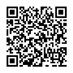 拥有大量高杀伤低环法术的施法者毫无疑问会占据优势二维码生成