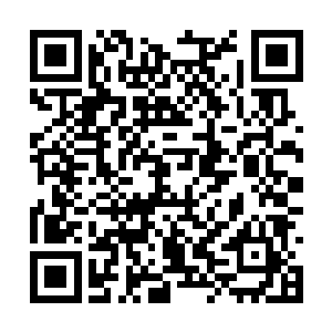 拥有盘古宇宙最后一支成建制妖族势力的星耀联邦二维码生成