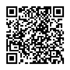 拥有神脉血缘的家族后代就有可能觉醒一种独一无二的先祖血脉二维码生成